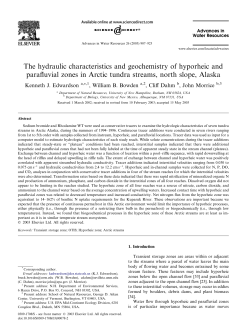 The hydraulic characteristics and geochemistry of hyporheic and