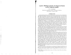 Factors affecting leaf size of chaparral shrubs on the California islands