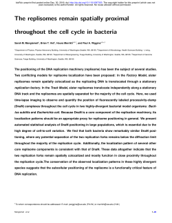 The replisomes remain spatially proximal throughout the cell cycle in