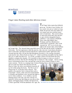 Finger Lakes Riesling (and other delicious wines) T