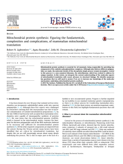 Mitochondrial protein synthesis: Figuring the fundamentals