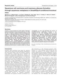 Squamous cell carcinoma and mammary abscess