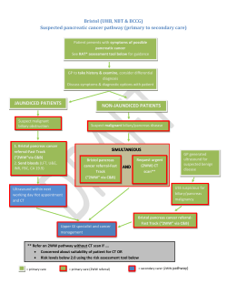 SWAG_Pancreatic_Pathway