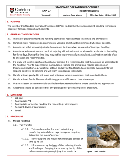 Rodent Handling and Restraint