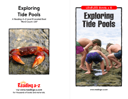 Exploring Tide Pools