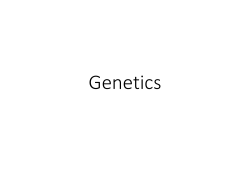 6.1 Presentation: Reproduction and Meiosis