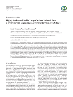 Highly Active and Stable Large Catalase Isolated from a