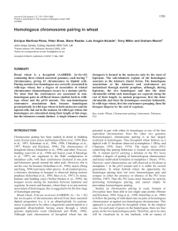 Homologous chromosome pairing in wheat