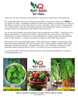 Seed Information
