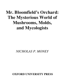 Mr. Bloomfield`s Orchard : The Mysterious World of Mushrooms
