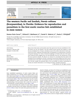 The western Pacific red lionfish, Pterois volitans