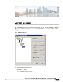 Domain Manager
