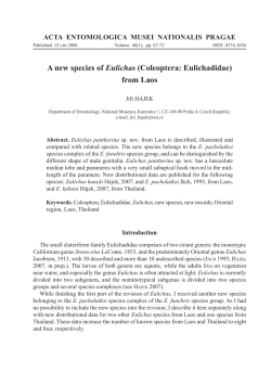 A new species of Eulichas (Coleoptera: Eulichadidae) from Laos