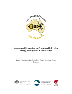 International Symposium on Cephalopod Lifecycles: biology