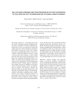 Fall Over the Cliff - The Peregrine Fund