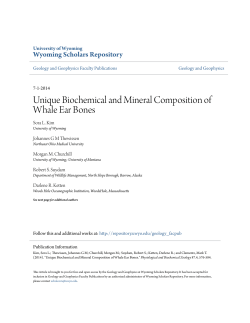 Unique Biochemical and Mineral Composition of Whale Ear Bones