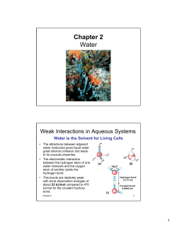 Chapter 2 Water