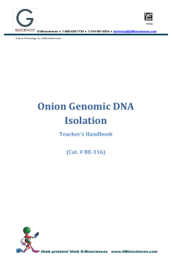 Onion Genomic DNA Isolation - G
