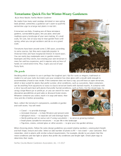 Terrariums: Quick Fix for Winter-Weary Gardeners