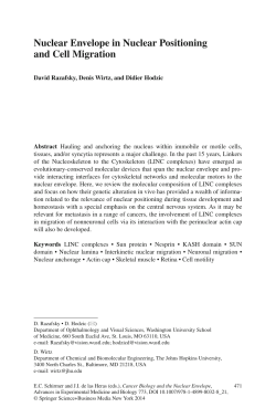 Nuclear Envelope in Nuclear Positioning and Cell