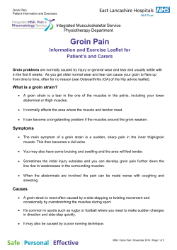 15 - Groin Pain