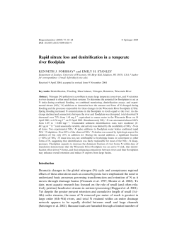 Rapid nitrate loss and denitrification in a temperate river floodplain