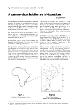 A summary about holothurians in Mozambique