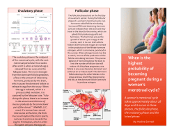 sex ed brochure final