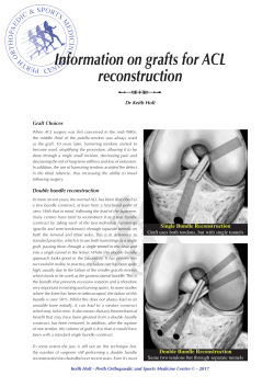 Information on grafts for ACL reconstruction