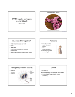 GRAM negative pathogens cocci and bacilli Virulence of G