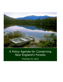 Policy Agenda for Conserving New England`s Forests
