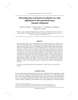 Sib-mating does not lead to facultative sex ratio