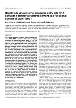 Hepatitis C virus internal ribosome entry site RNA contains a tertiary