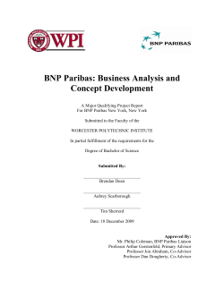 BNP Paribas: Business Analysis and Concept Development