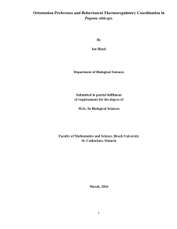 Orientation Preference and Behavioural