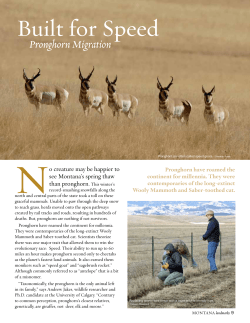 Built for Speed - The Nature Conservancy