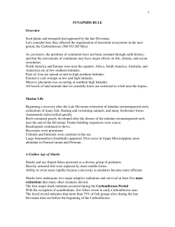 1 SYNAPSIDS RULE Overview Seed plants and tetrapods had