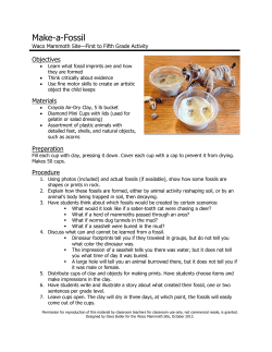 Make-a-Fossil - City of Waco, Texas