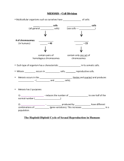 MEIOSIS - Cell Division The Haploid