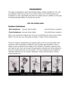 Enhancements - Randall Gallery