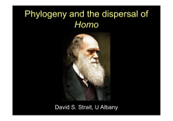 Phylogeny and the dispersal of Homo
