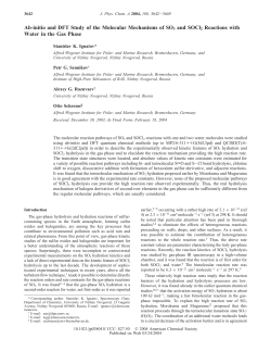 Ab-initio and DFT Study of the Molecular Mechanisms of SO3 and