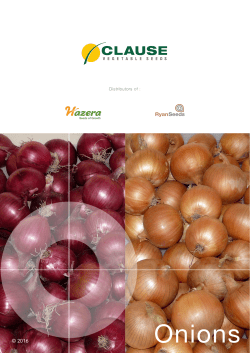 Onions - HM Clause