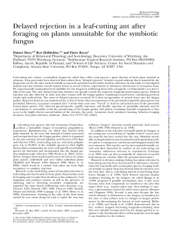 Delayed rejection in a leaf-cutting ant after foraging on plants