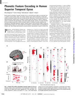 Phonetic Feature Encoding in Human Superior Temporal Gyrus