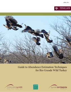 Guide to Abundance Estimation Techniques for Rio Grande Wild