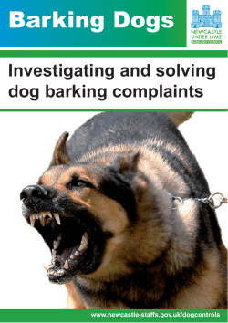 Barking Dogs Web version:Layout 1