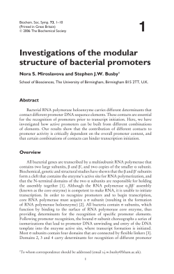 Investigations of the modular structure of bacterial promoters