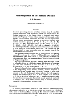 Palaeomagnetism of the Roraima Dolerites