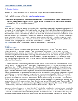 Maternal Effects on Mouse Brain Weight By